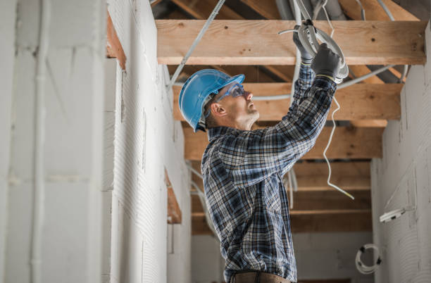 Best Electrical Upgrades for Homes  in Chenoa, IL